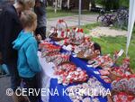 Slavnosti Perníkového hejtmanství 2008