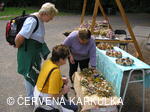 Svatováclavská perníková tlačenice 2006